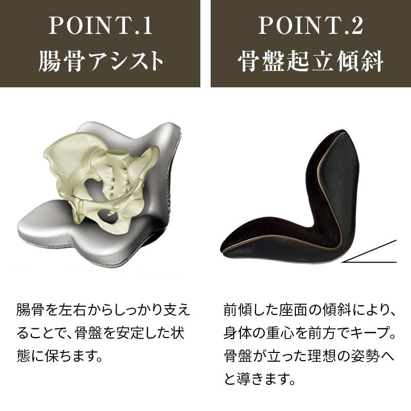 Style（スタイル） 爆買 姿勢ケアシート Style PREMIUM DX プレミアム