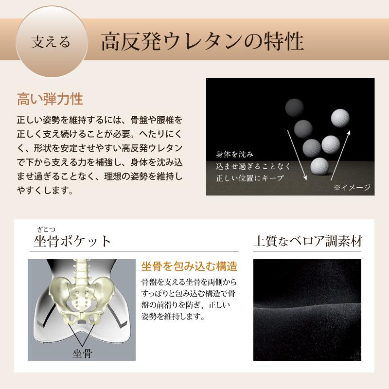 Style（スタイル） 爆買 姿勢ケアシート Style PREMIUM DX プレミアム