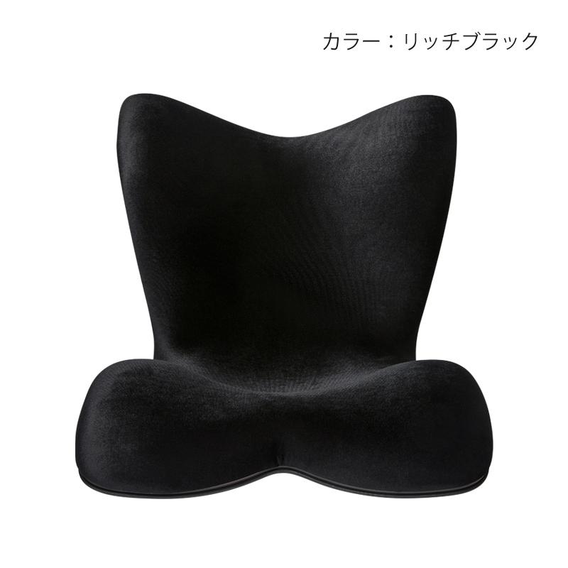 Style（スタイル） 爆買 姿勢ケアシート Style PREMIUM DX プレミアム