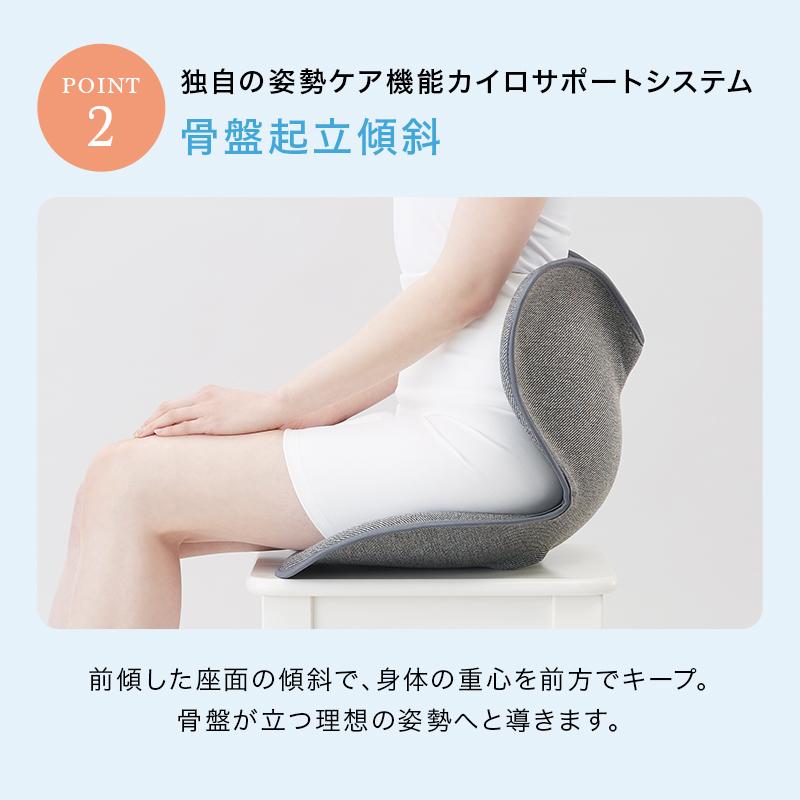 Style（スタイル） 爆買 姿勢ケアシート Style Standard スタンダード
