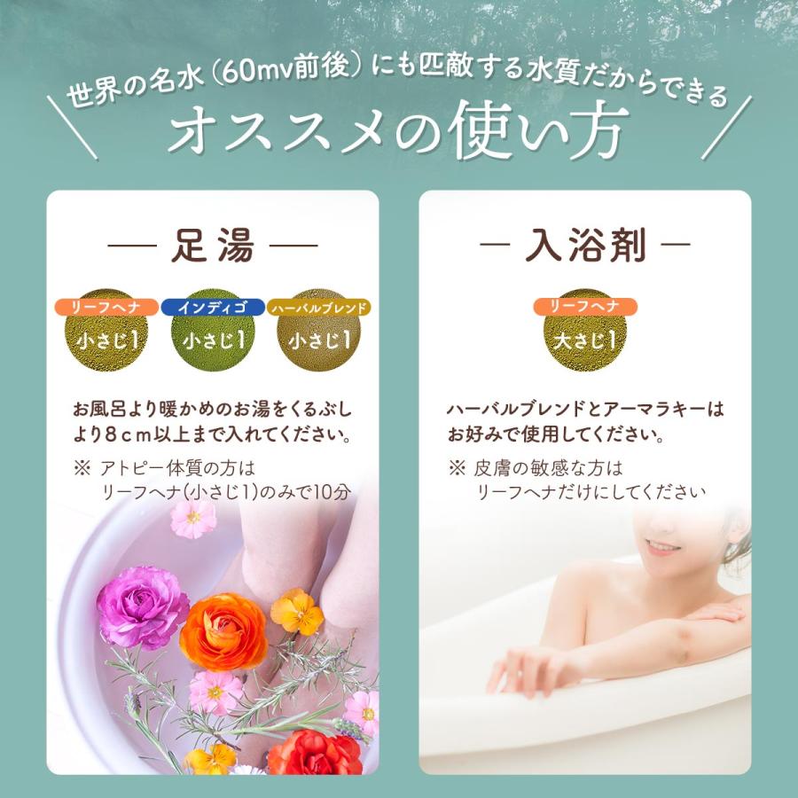 IPM ヘナ スパイスアーマラキー 100g×5袋セット【選べるプレゼント付き