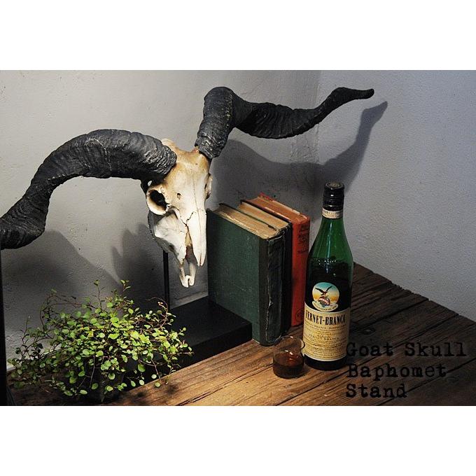 オブジェ スカル おしゃれ インテリア ヤギ 山羊 レトロ アンティーク