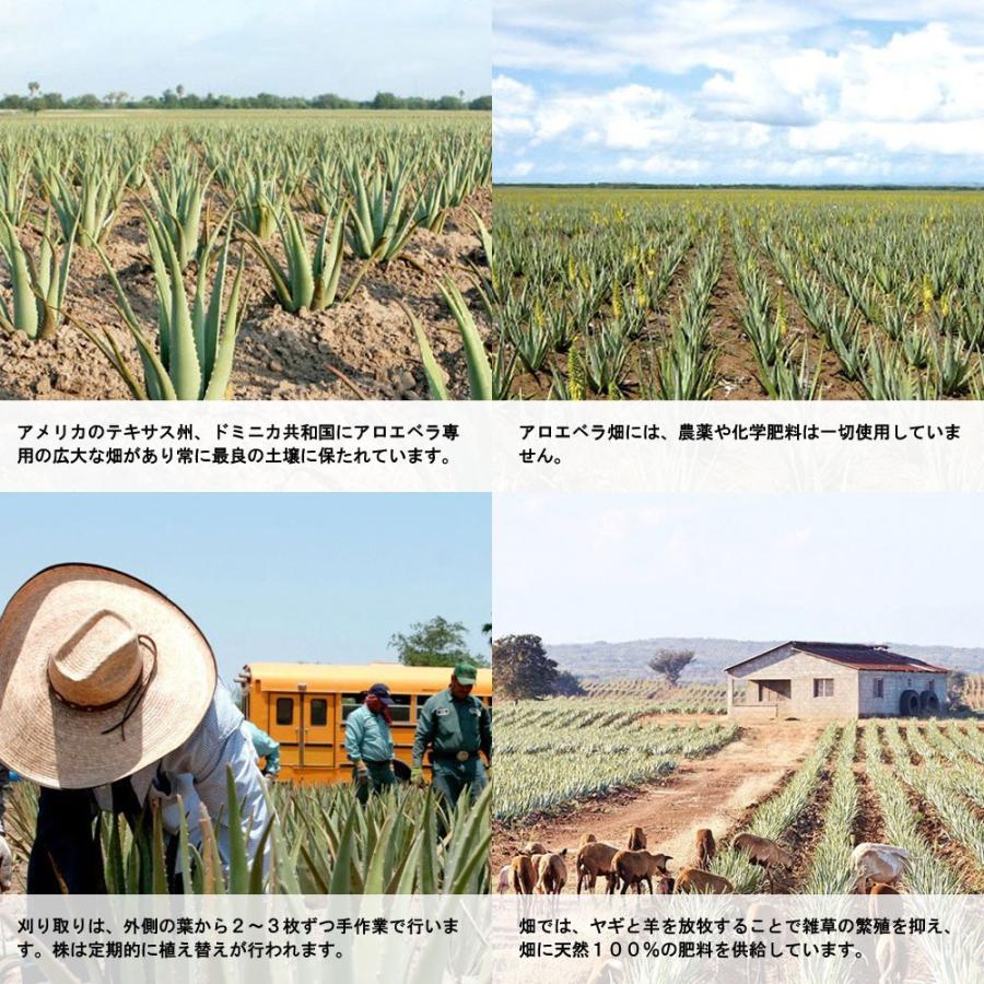 FLP アロエベラジュース フォーエバーリビングプロダクツジャパン