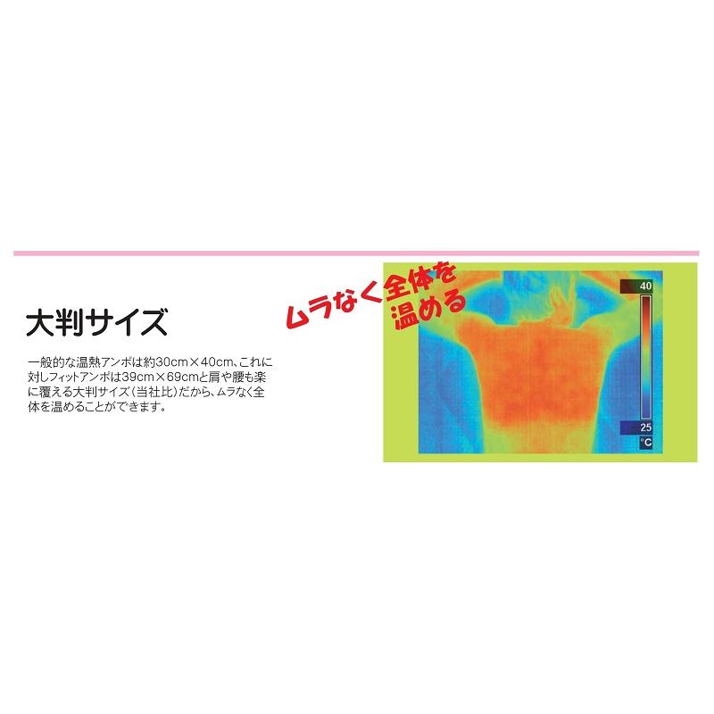 フィットアンポFA-2 タイマーなし 丸央産業 遠赤放射 セラミック