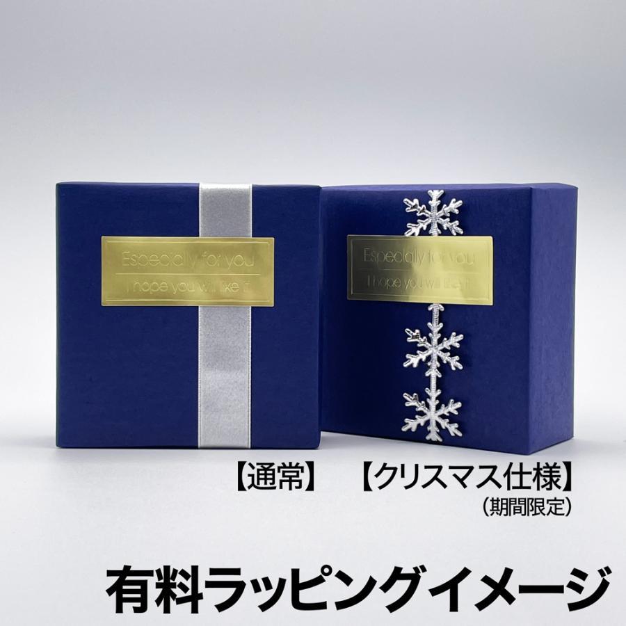 Apple アップル 純正 AirPods Pro 第2世代 USB-C エアポッズプロ2