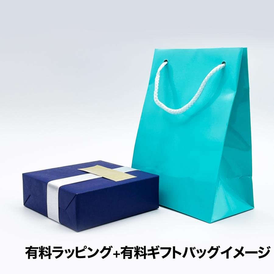 Apple アップル 純正 AirPods 第3世代 エアポッズ 3 エアーポッズ