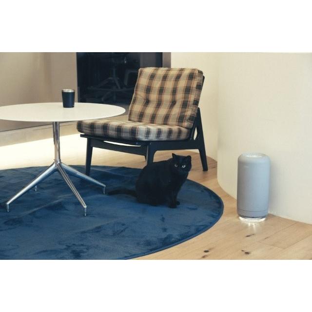 cado（カドー） 除菌脱臭機 ホワイト SAP-003-WH : OCCroom'sヤフー店