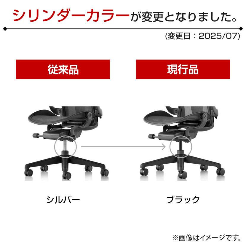 Herman Miller（ハーマンミラー） アーロンチェア リマスタード Aeron