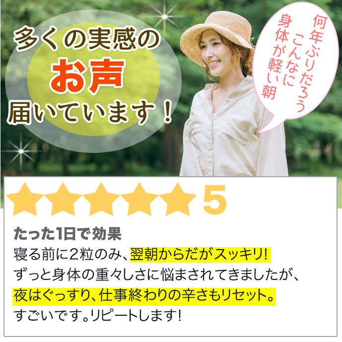 水素サプリ 水素水 より持続 小粒キラキラ水素 120入 SOD 水素