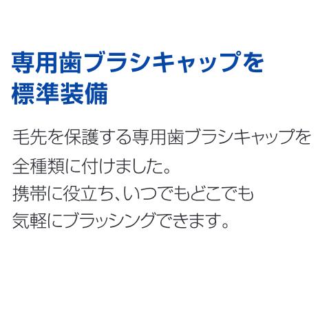 LION（ライオン） 定番 歯ブラシ デント イーエックス スリムヘッド2