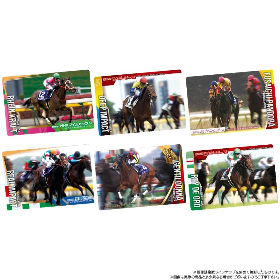 サラブレッドホースコレクション R1 サラブレッドホースコレクション