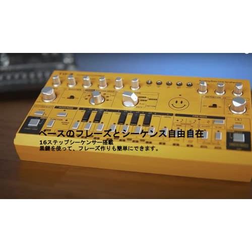 ベリンガー Behringer アナログベースラインシンセサイザー TD-3-AM