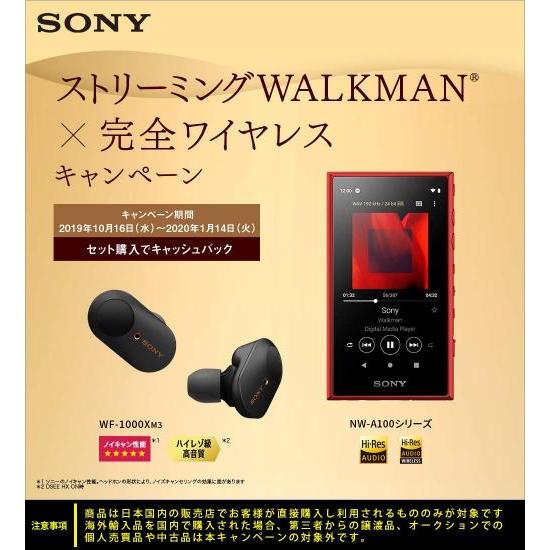 ソニー SONY ウォークマン 32GB Aシリーズ NW-A106 : ハイレゾ対応