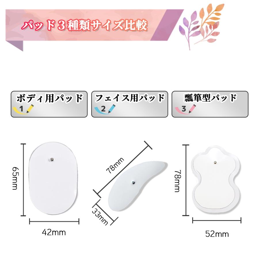 EMSセット 本体1コード1パッド12（ボディ8枚+顔用4枚） ポケスリムα