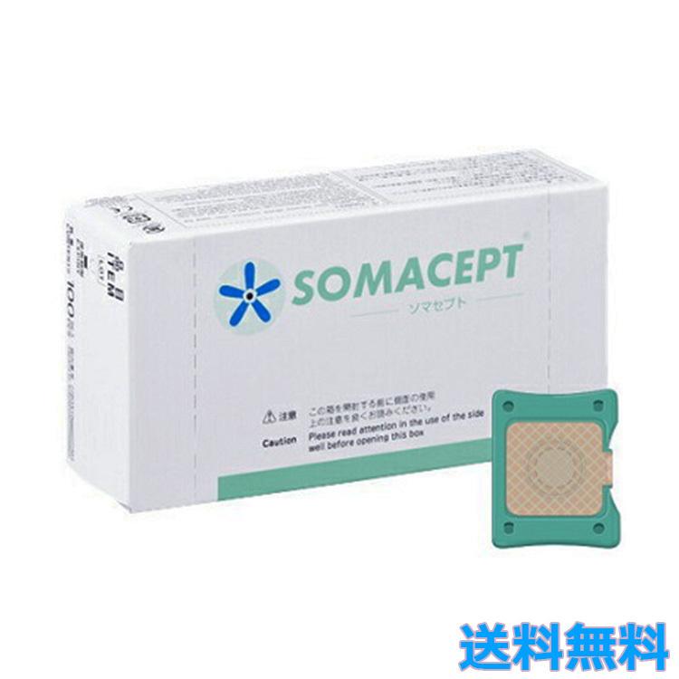 東洋レヂン ソマニクス ソマセプト L 100個入 一般医療機器 緩和