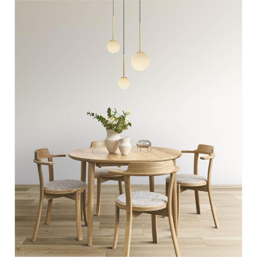 KOIZUMI（コイズミ） AP54889 ペンダントライト LED交換不可 非調光