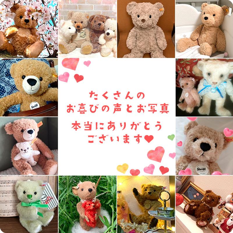 Steiff シュタイフ コージーベア 2015 38cmサイズ Steiff(シュタイフ