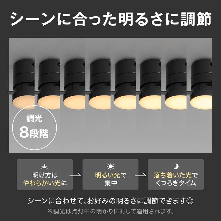 LOWYA（ロウヤ） シーリングファンライト シーリングファン シーリング