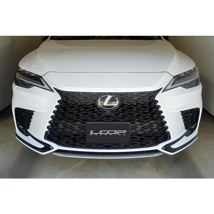 アレックスグリル LEXUS RX F SPORT LA/LH系専用 ※2トーン塗装(純正