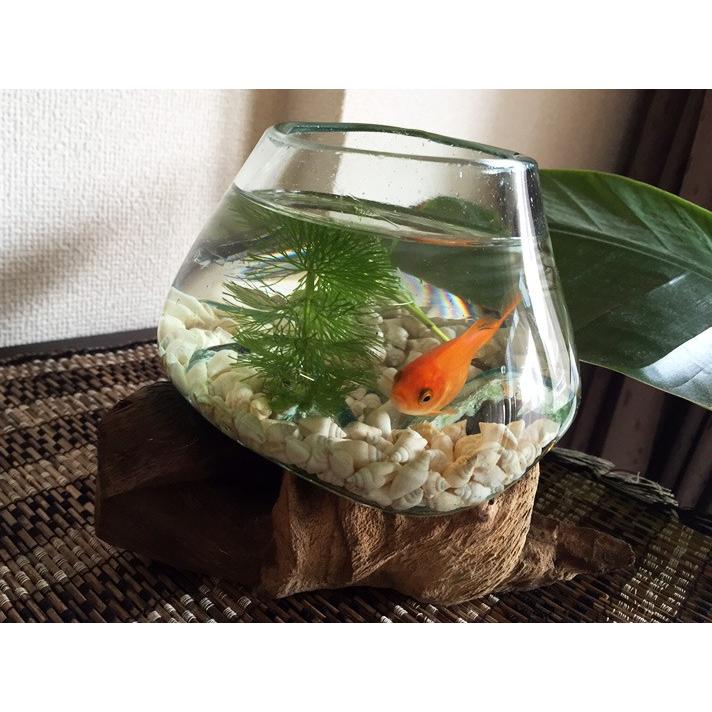 バリ島 流木ガラス鉢 バリガラス 流木 花器 花瓶 金魚鉢 プランター