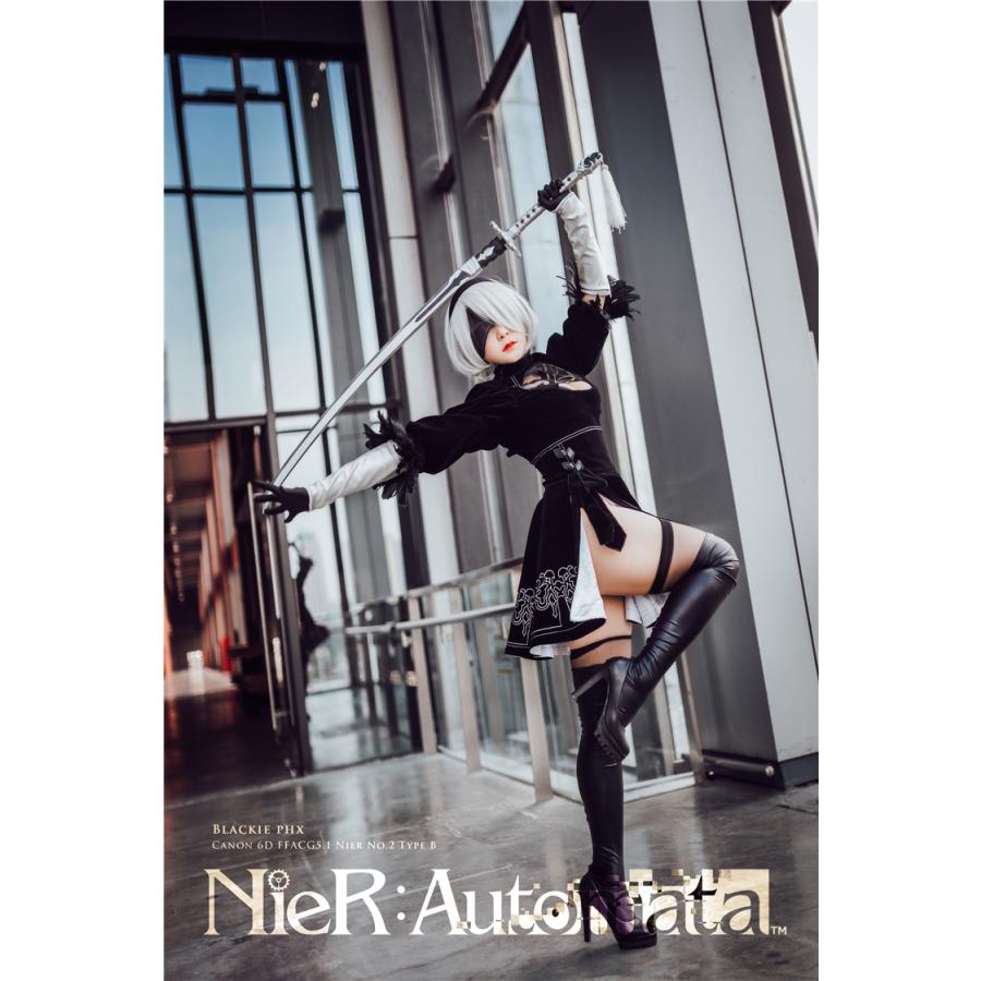 三分妄想1/3Delusion】NieR:Automata ニーア オートマタ ヨルハ二号B型