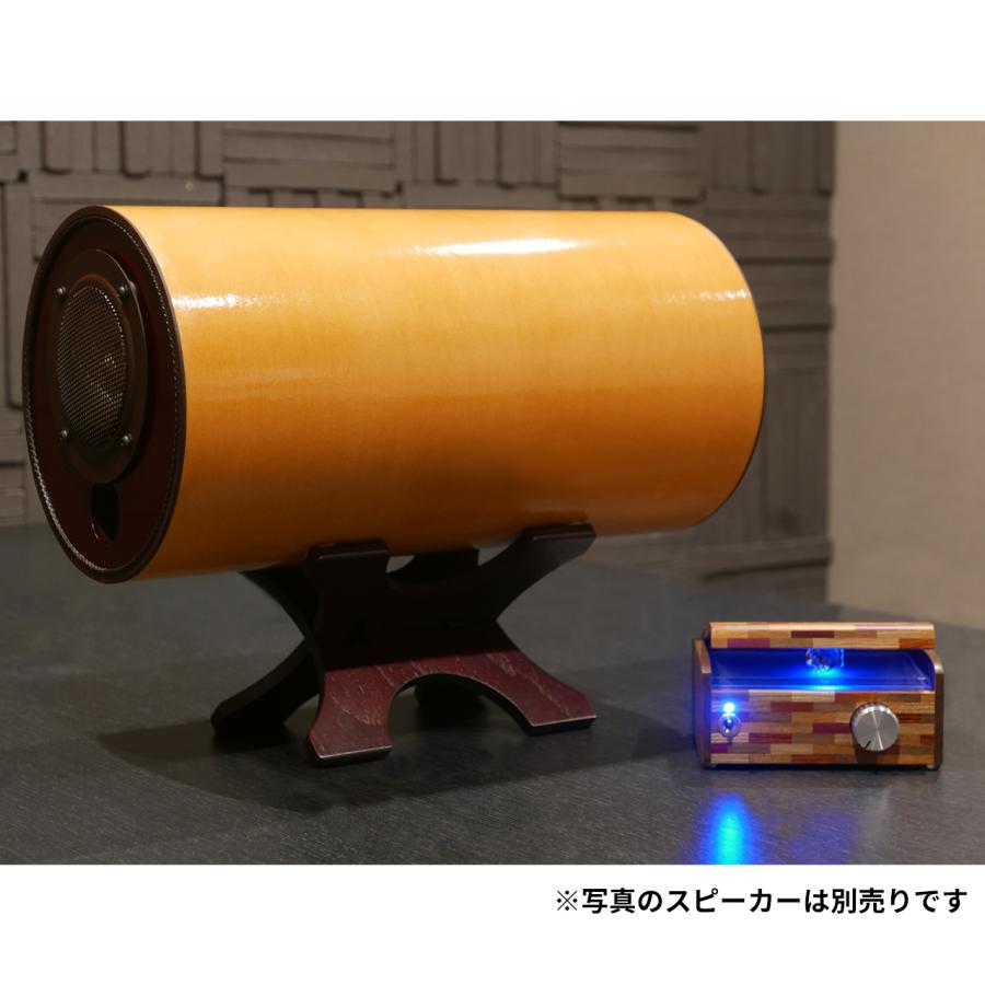 M's System MS-Amp12 エムズシステム オリジナル アンプ : La Casa