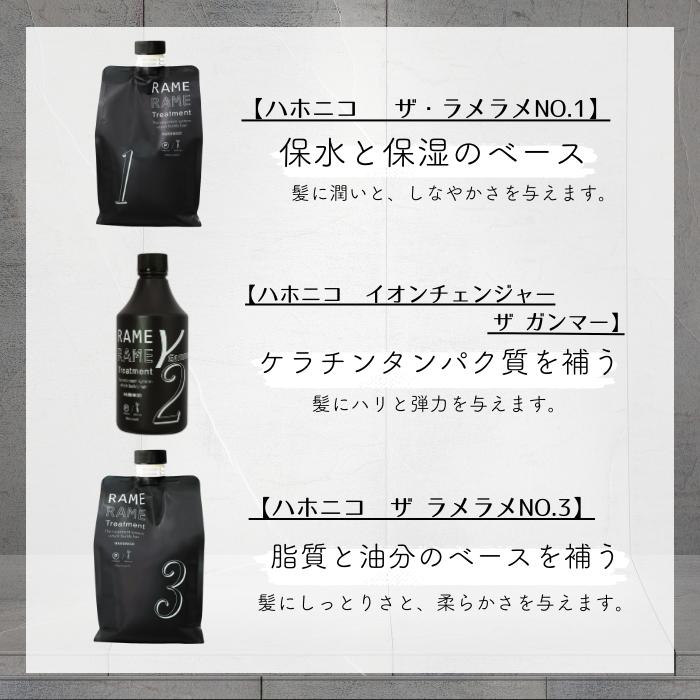 ハホニコ ブラックレーベル 3点セット ポンプ2個付 トリートメント