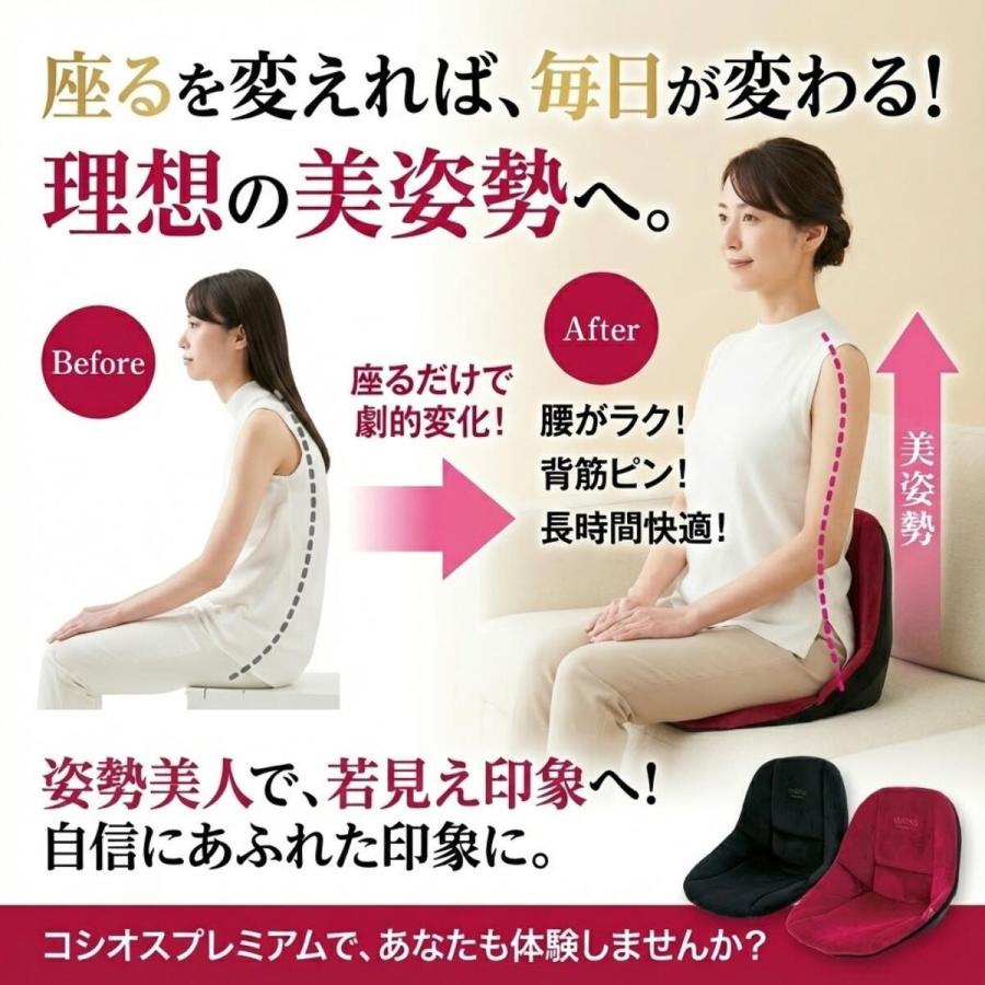 コシオスプレミアム cosios premium クッション ハイバック 腰 骨盤