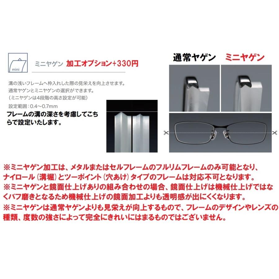 HOYA 東海光学 最高屈折率1.76 非球面 ベルーナ ZX-AS メガネ カラー