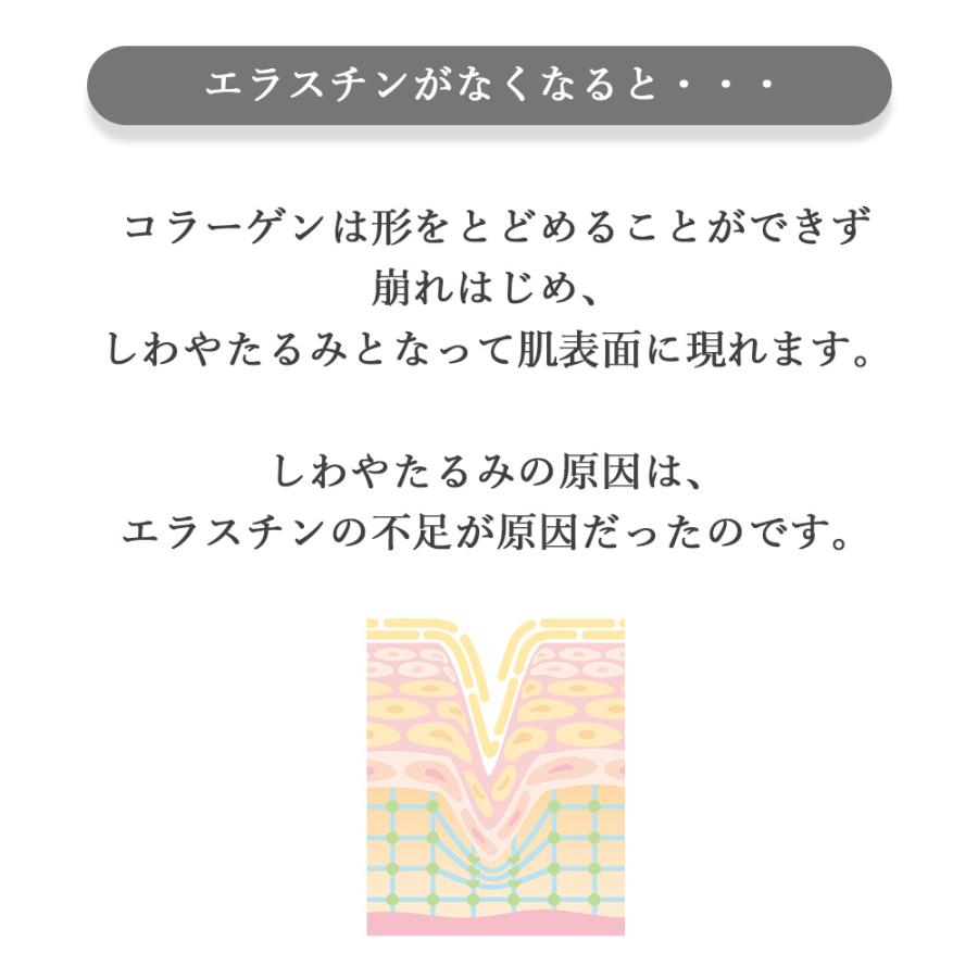 季令 KIREI e-クリーム 40g 高純度エラスチン配合 保湿 うるおい ハリ