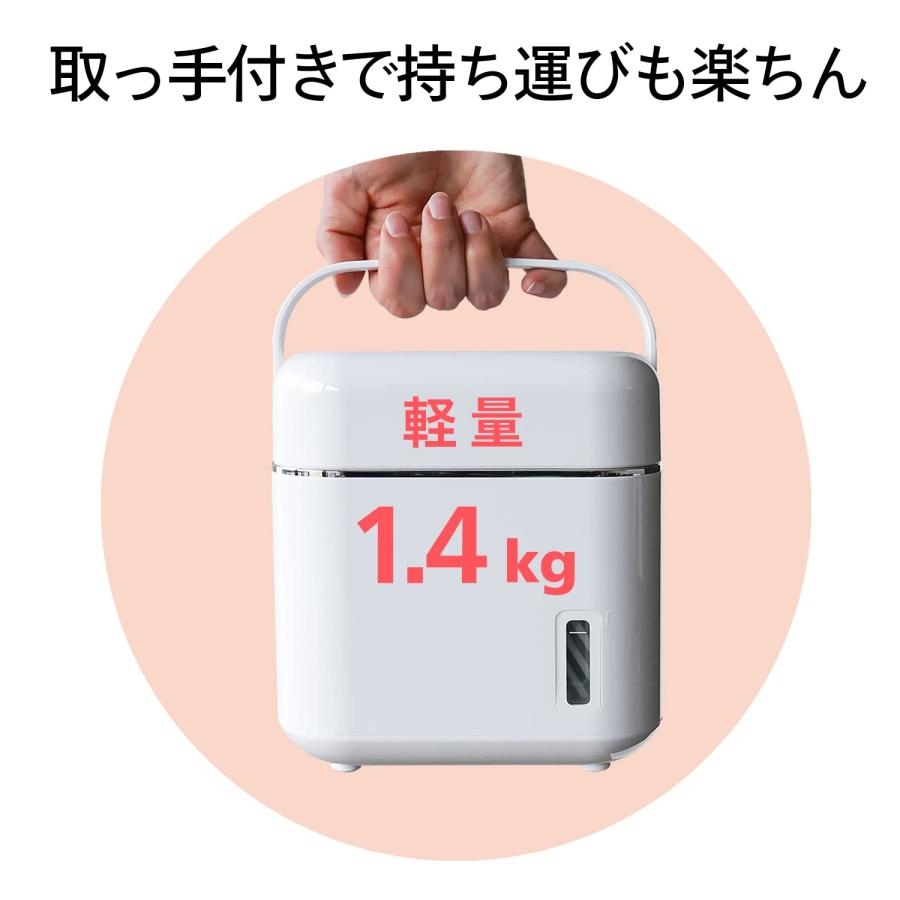 ツインバード（TWINBIRD） フェイススチーマー 美顔器 イオン ミラー付