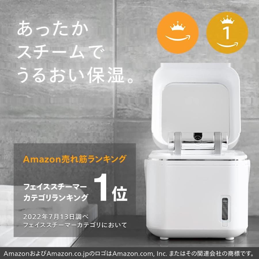 ツインバード（TWINBIRD） フェイススチーマー 美顔器 イオン ミラー付