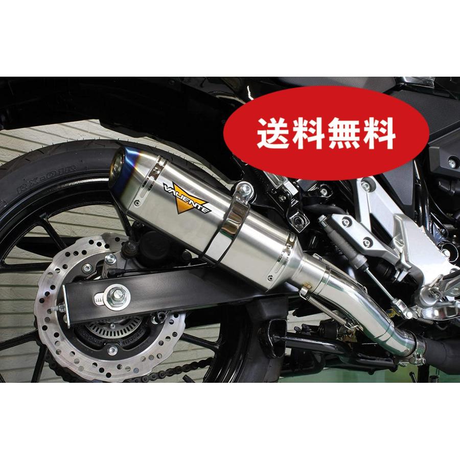 Vストローム Vストローム250 バイクマフラー 2BK-DS11A ミーア