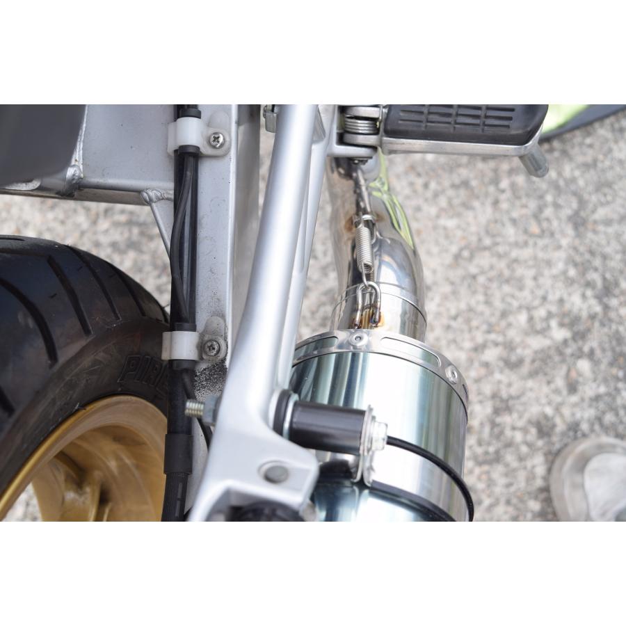 REALIZE（リアライズ） Realize VTR250 バイクマフラー VTR-F Type LD