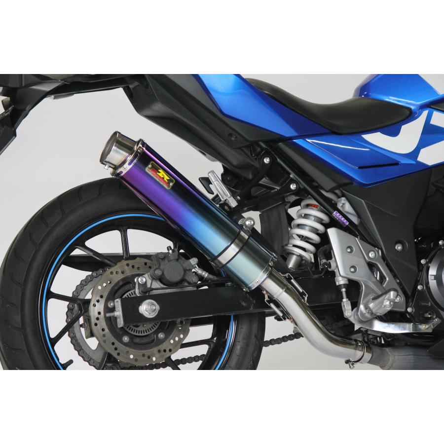 GSX Realize GSX250R バイクマフラー 2BK-DN11A 8BK-DN12B アリア