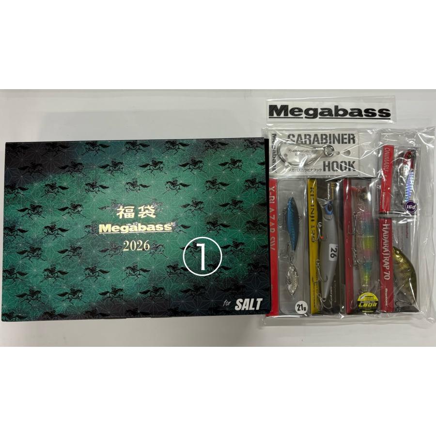 Megabass（メガバス） 処分特価 Megabass 2026福袋 for SALT メガバス