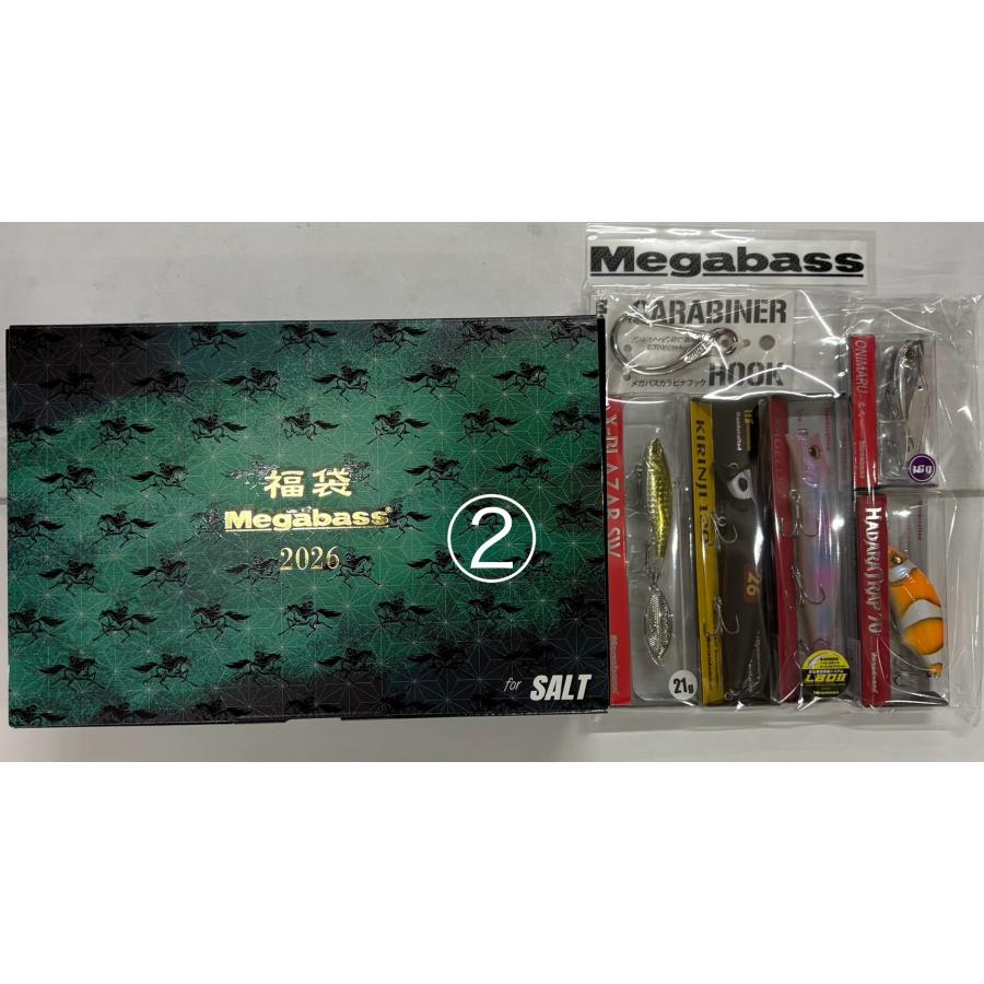 Megabass（メガバス） 処分特価 Megabass 2026福袋 for SALT メガバス