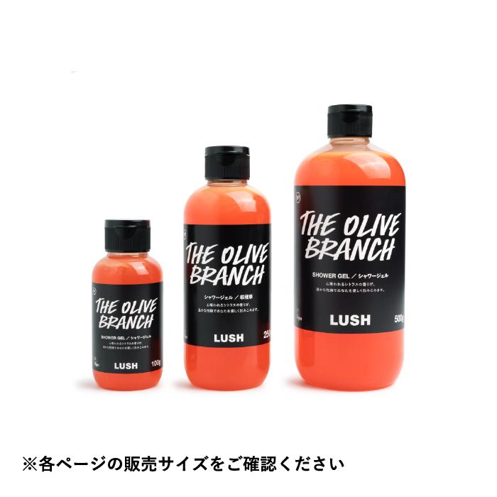 LUSH（ラッシュ） 収穫祭 500g ボディソープ シャワージェル