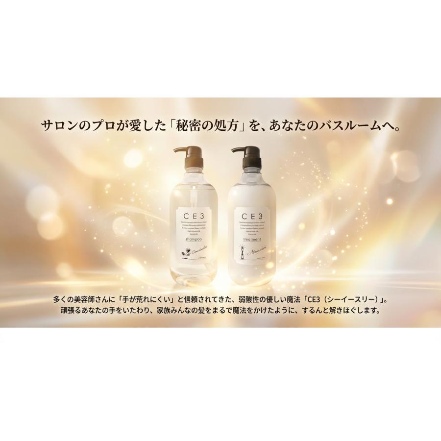 CE3 シャンプー トリートメント セット 1000mL 弱酸性 サロン専売 ノン