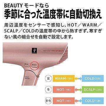 SHARP（シャープ） ☆SHARP / シャープ beaute A IB-LP9-G [シェル