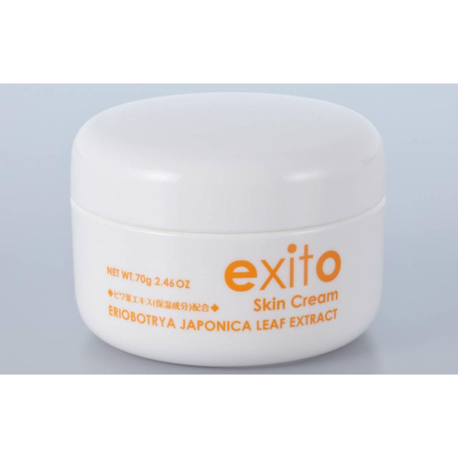 エクシートスキンクリーム70g指定成分無添加 敏感肌 痛み