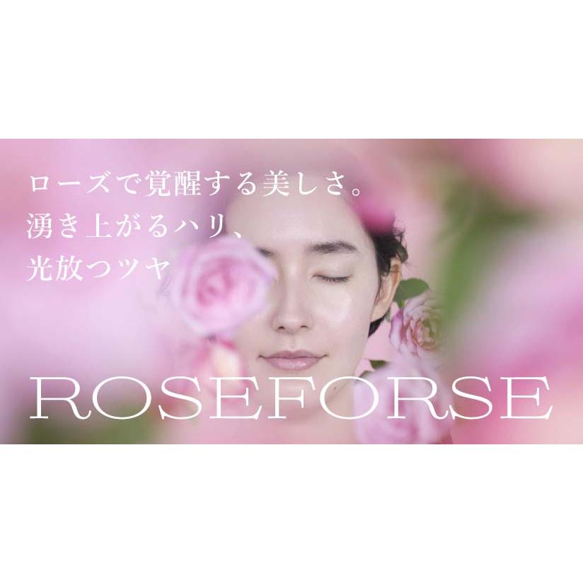 ナリスアップ コスメティックス ロゼフォース フィットストレッチ