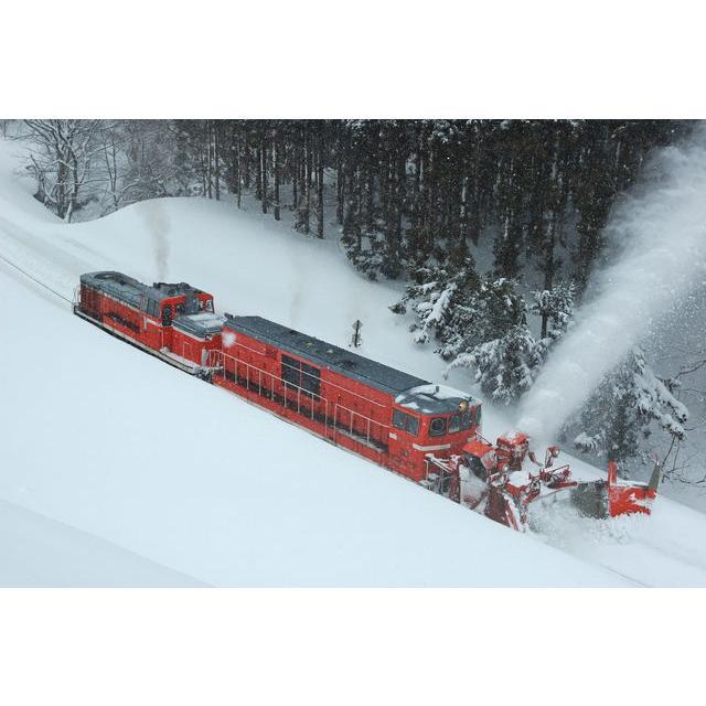 マイクロエース 予約受付中！ 2025年2月以降! (N) A8168 DD14-317