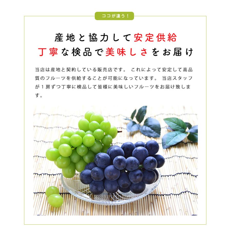食べ比べセット 山梨 岡山県産 シャインマスカット 種なしピオーネ 2房