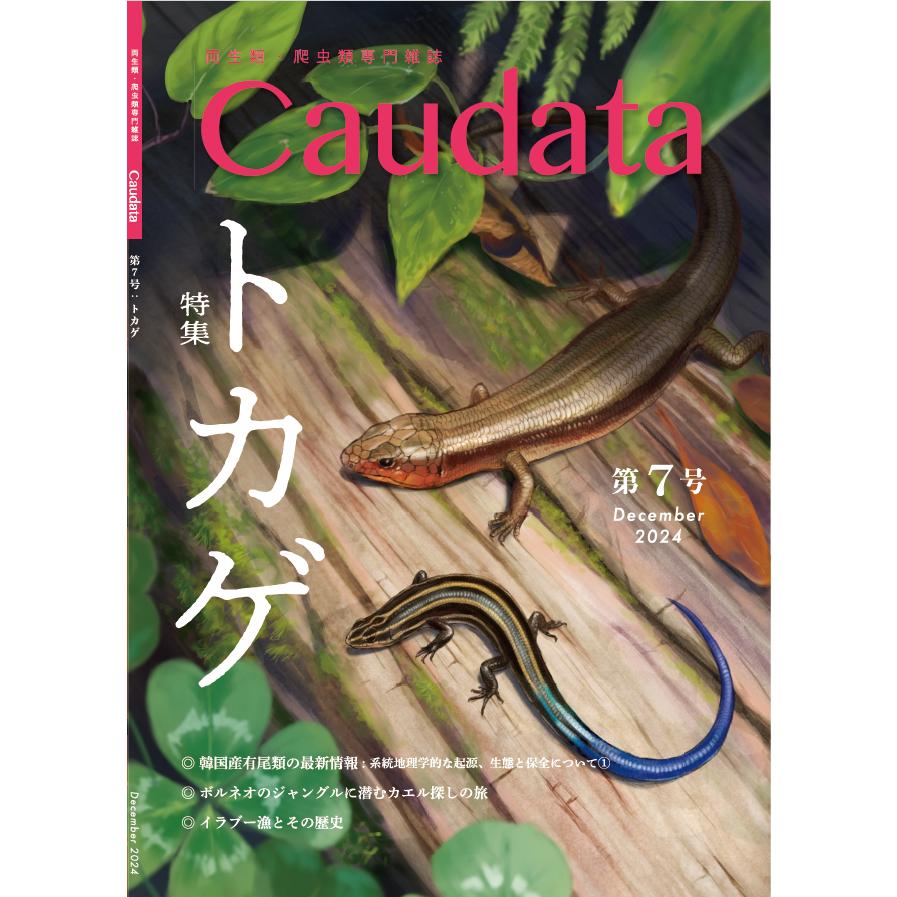 第7号 両生類・爬虫類専門雑誌 Caudata（カウダータ） 特集：トカゲ