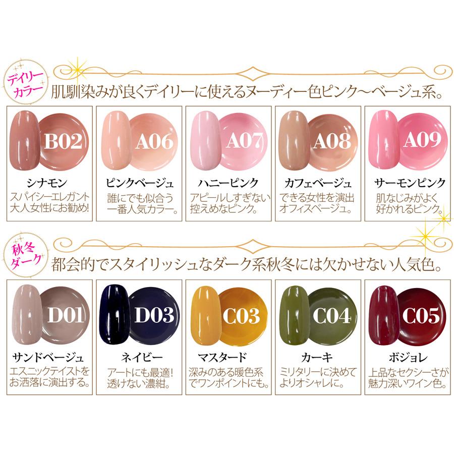 カラージェル ベスト30色ネイルレシピカラージェル特別セット 定番