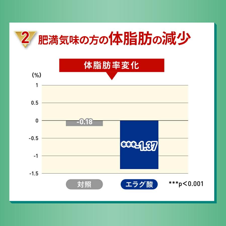 紅茶 スリーダウンティー 機能性表示食品 11g×6個×3袋セット