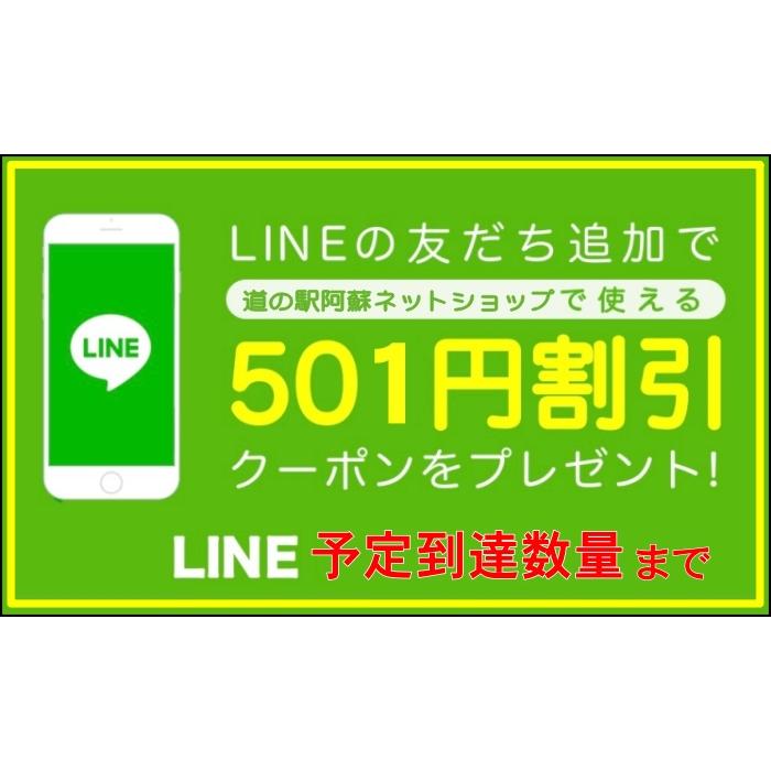 自社工房で製造・販売】 熊本 阿蘇 昔ながらの しもだ 馬油 お得サイズ
