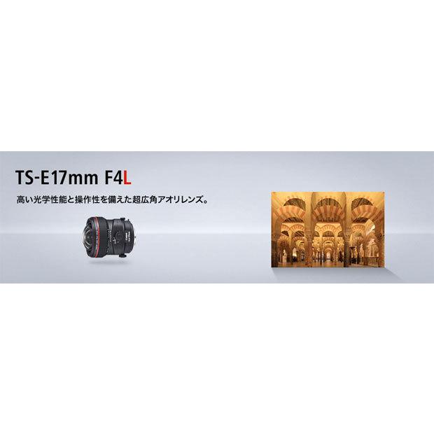 EFレンズ Canon TS-E17mmF4L キヤノンEFマウント超広角ティルトシフト