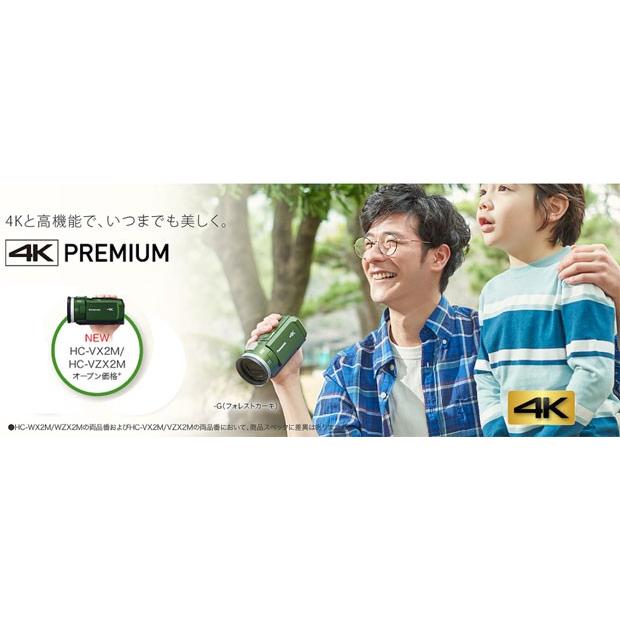 Panasonic（パナソニック） Panasonic HC-VX2M-G フォレストカーキ